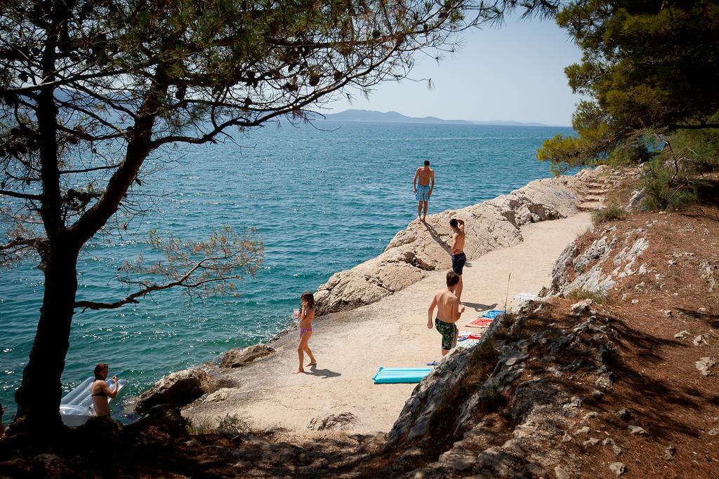 Nikoleto * Zadar