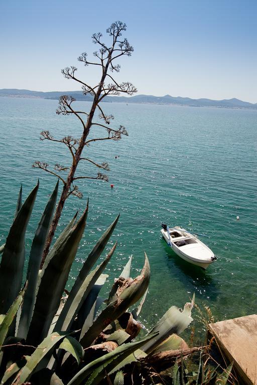 Nikoleto * Zadar